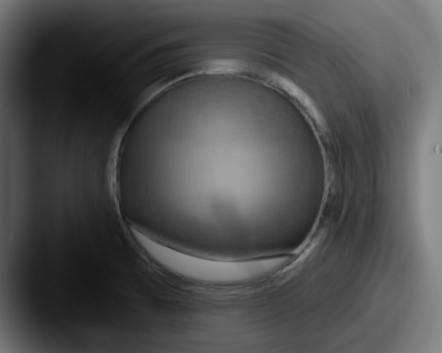 X0000087531473200705181021