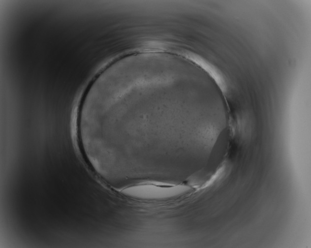 X0000087531477200705181021