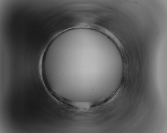 X0000087531479200705181021