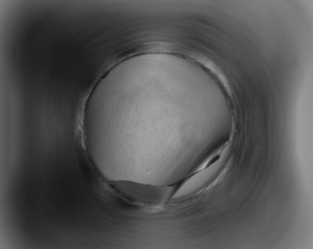 X0000087531481200705181021