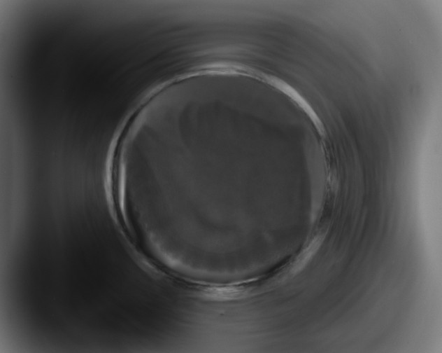 X0000087531482200705181021