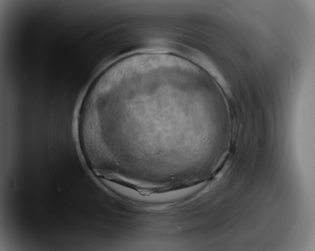 X0000087531484200705181021