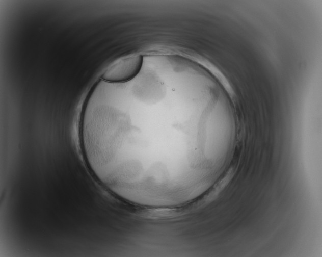 X0000087531486200705181021