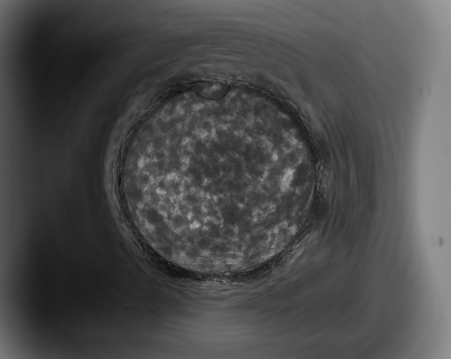 X0000087531489200705181021