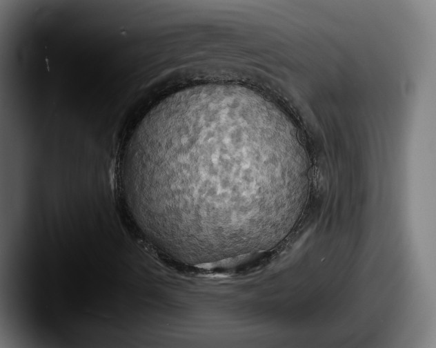 X0000087531490200705181021