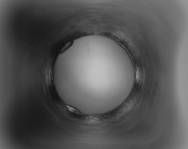 X0000087531492200705181021