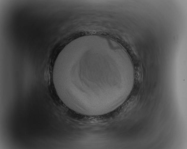 X0000087531493200705181021