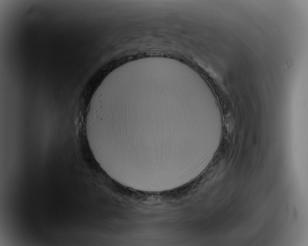 X0000087531495200705181021