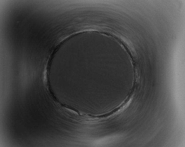 X0000087531497200705181021