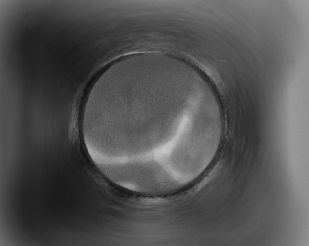 X0000087531498200705181021