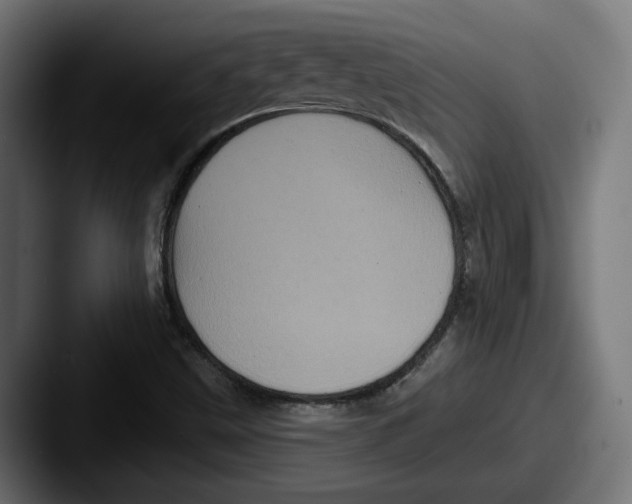 X0000087531499200705181021