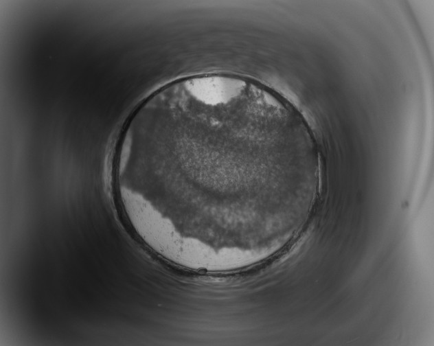 X0000087531500200705181021