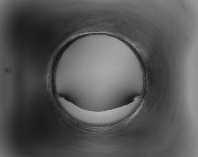 X0000087531502200705181021