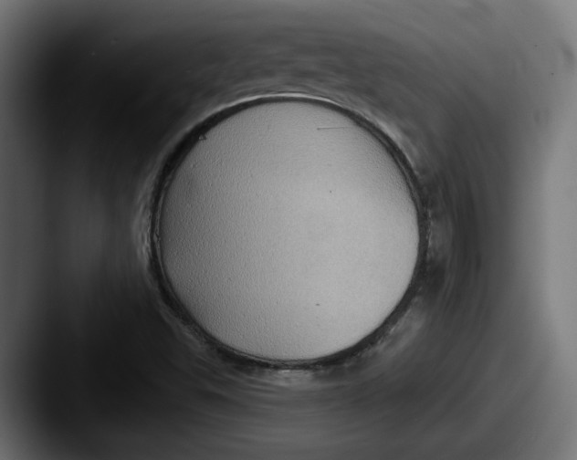 X0000087531503200705181021