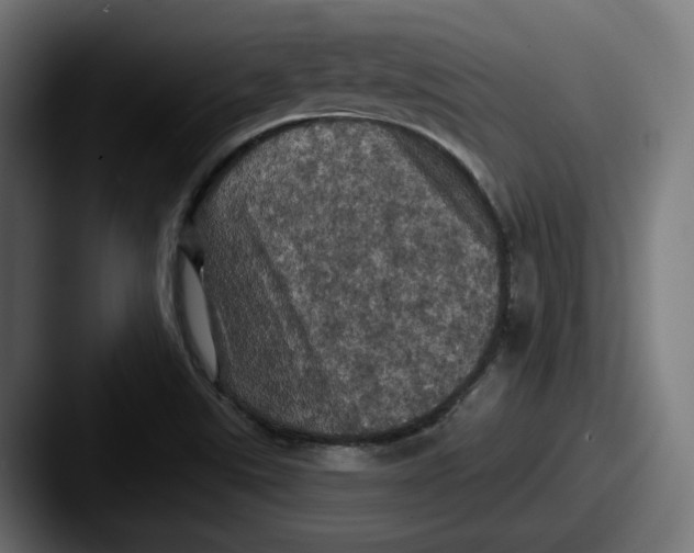 X0000087531507200705181021