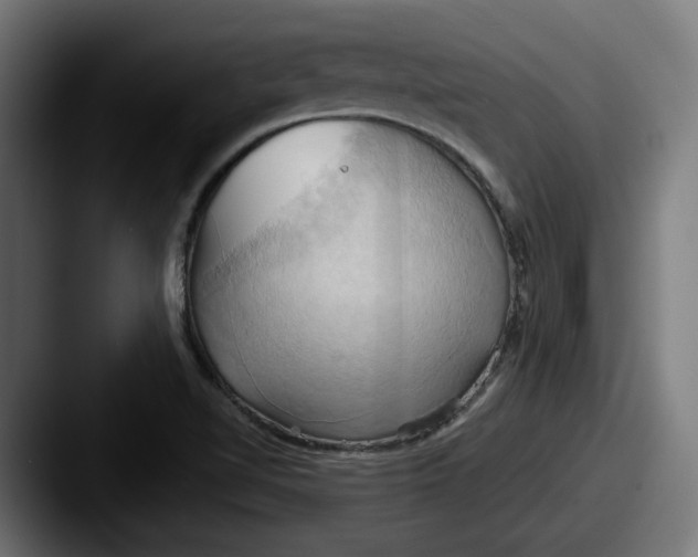 X0000087531510200705181021