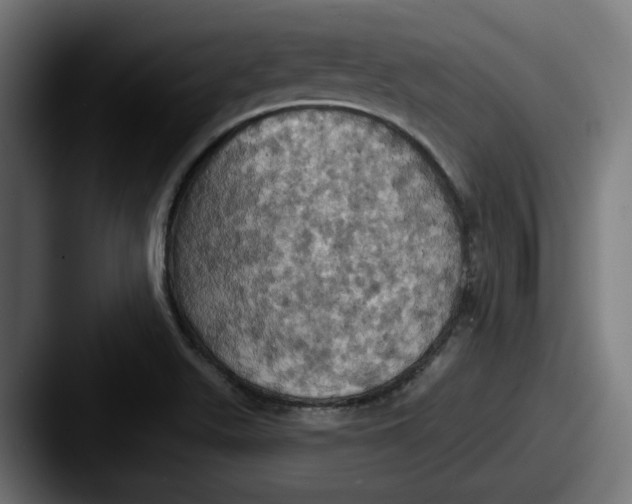 X0000087531511200705181021