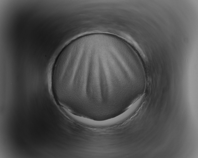 X0000087531512200705181021