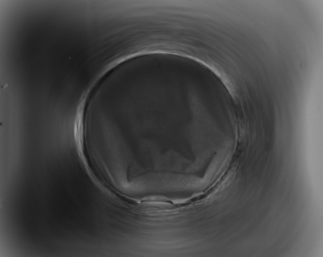 X0000087531515200705181021