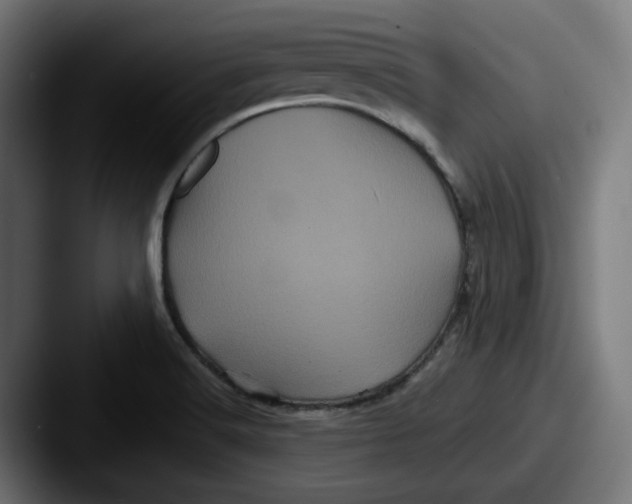 X0000087531516200705181021