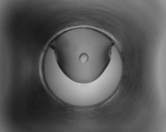 X0000087531518200705181021