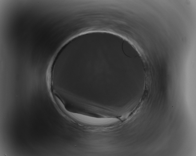 X0000087531519200705181021