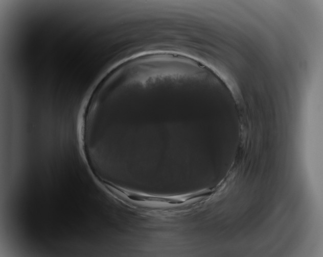 X0000087531527200705181021