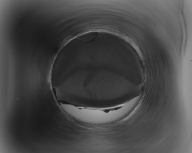 X0000087531529200705181021