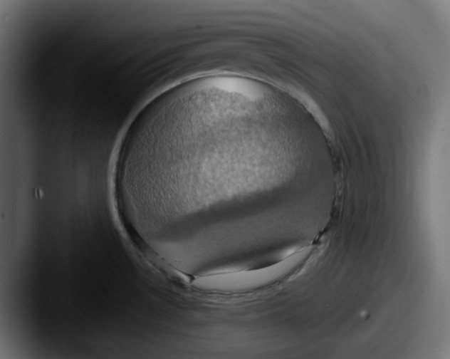 X0000087531530200705181021