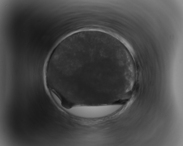 X0000087531533200705181021