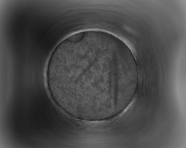 X0000087531534200705181021