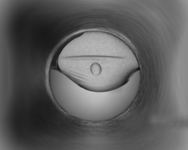 X0000087531536200705181021