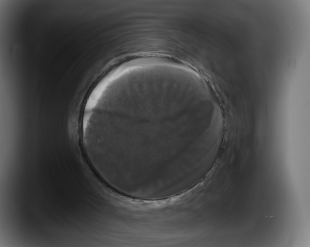X0000087530002200705251709
