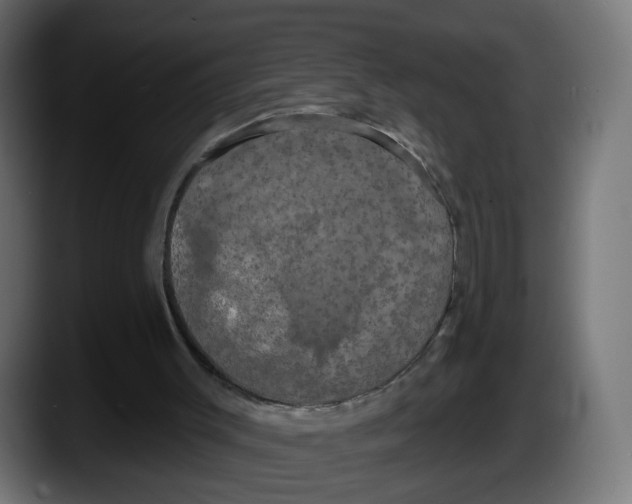 X0000087530003200705251709