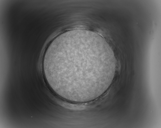 X0000087530004200705251709