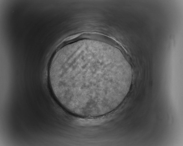 X0000087530005200705251709
