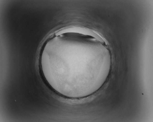 X0000087530007200705251709