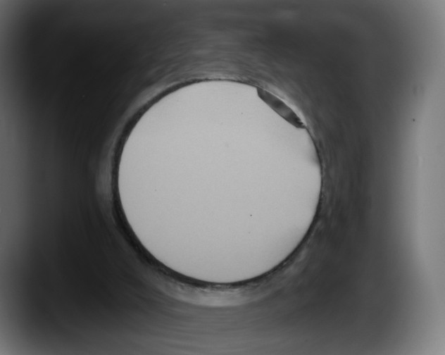 X0000087530008200705251709