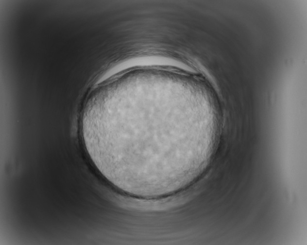 X0000087530010200705251709