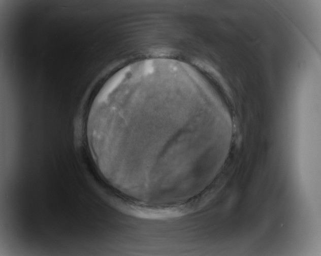 X0000087530012200705251709