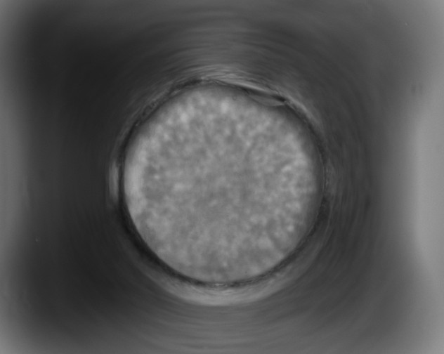 X0000087530014200705251709