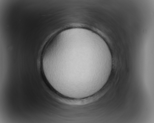 X0000087530015200705251709
