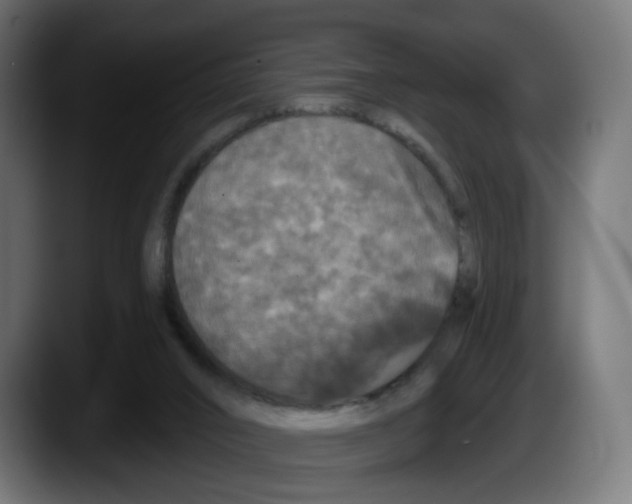 X0000087530016200705251709