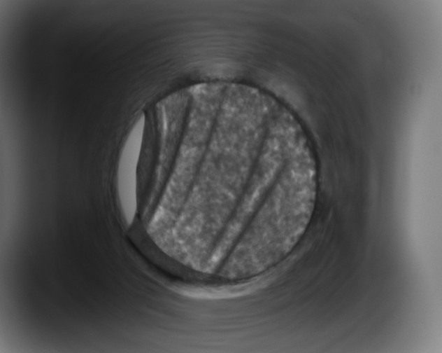 X0000087530017200705251709
