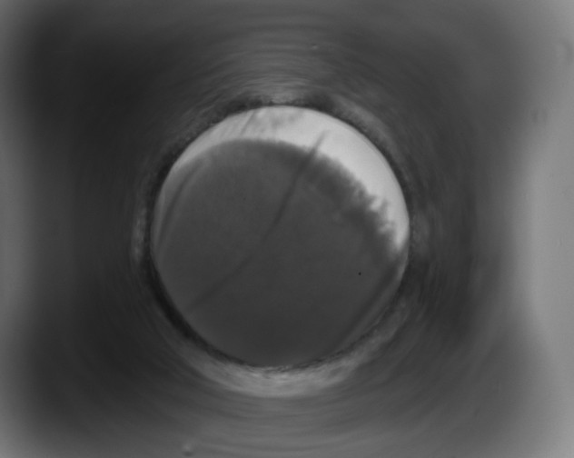 X0000087530018200705251709