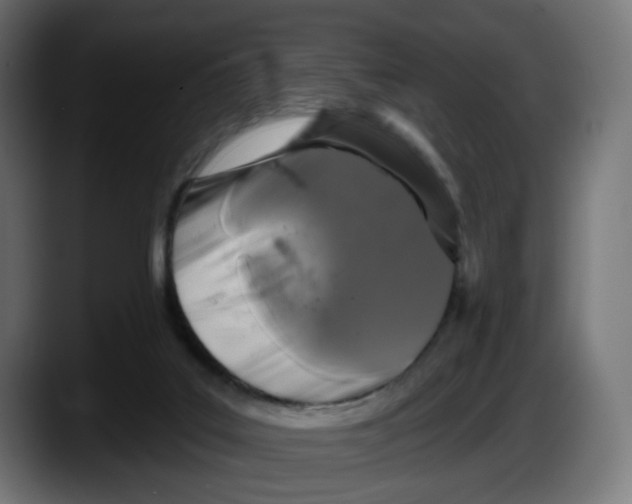 X0000087530019200705251709