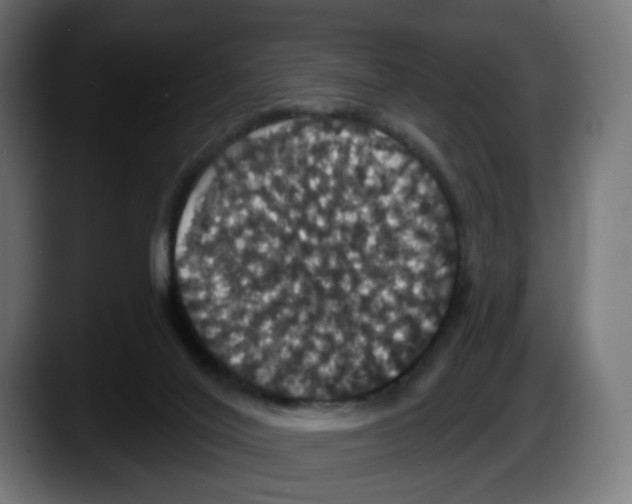 X0000087530020200705251709