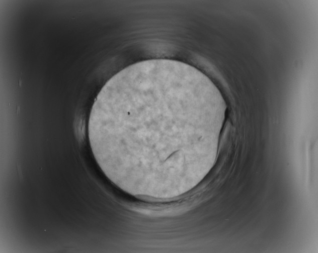 X0000087530021200705251709