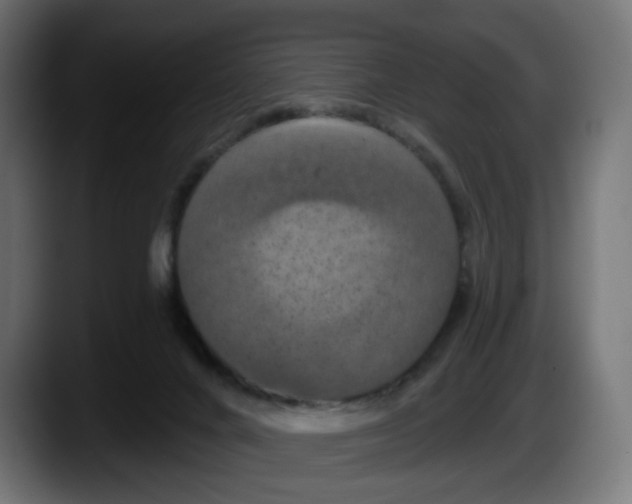 X0000087530024200705251709