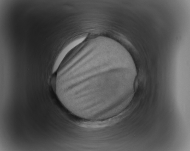 X0000087530025200705251709
